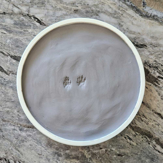 Clay Paw Impression