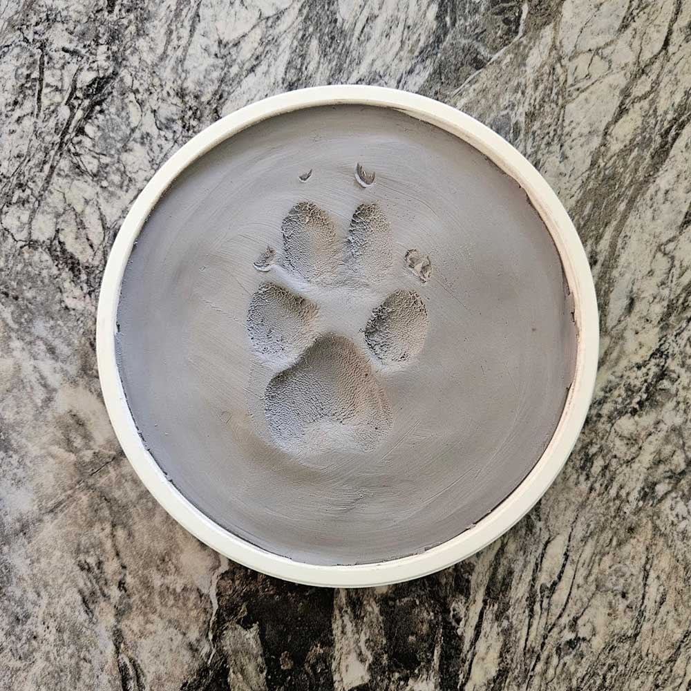Clay Paw Impression