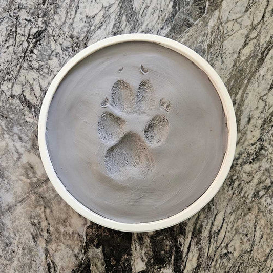 Clay Paw Impression