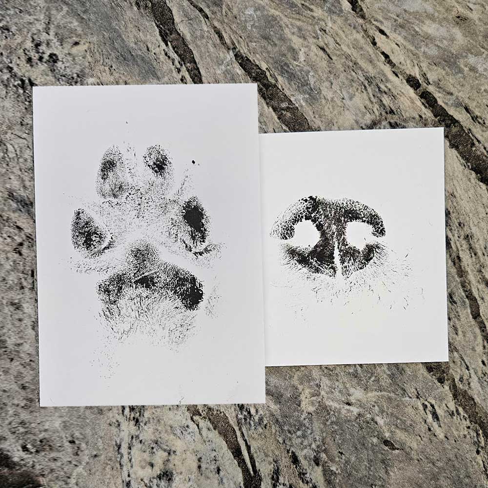 Ink Nose and Paw Prints
