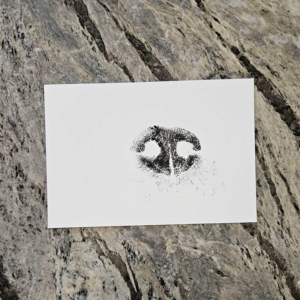 Ink Nose and Paw Prints