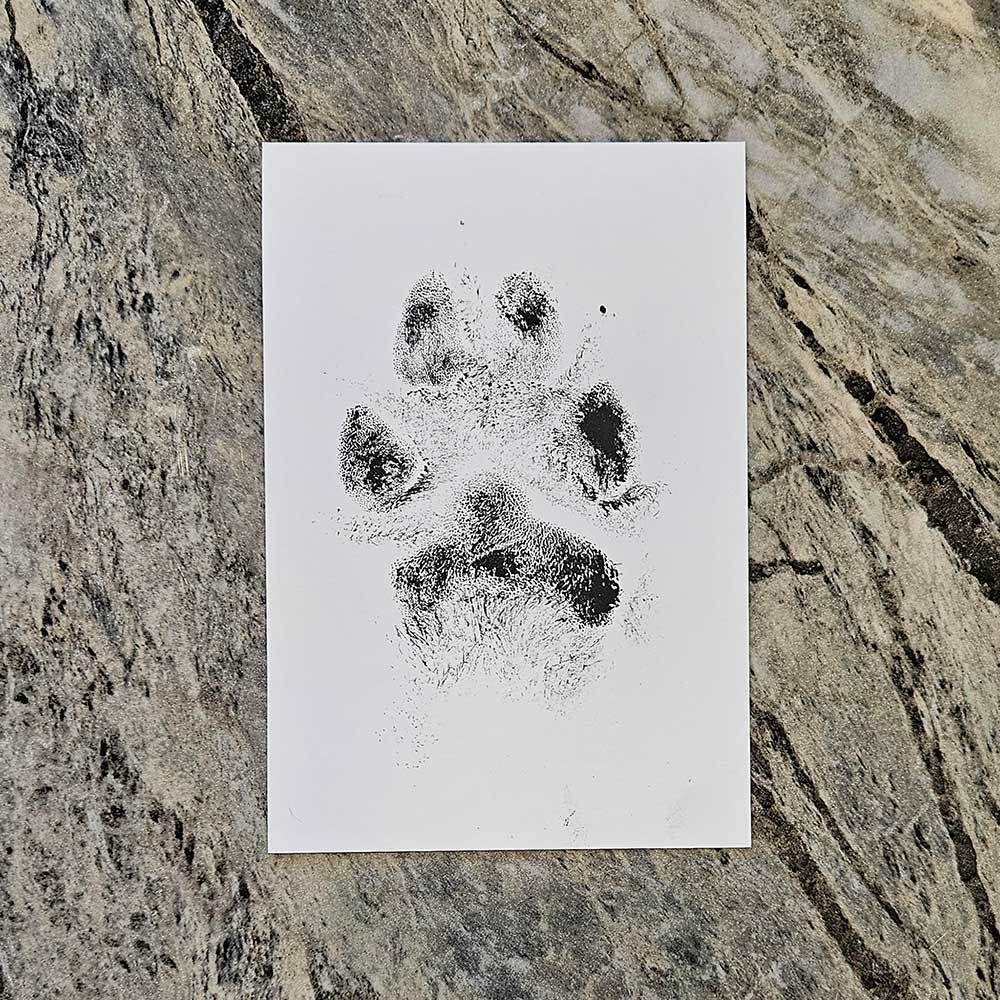 Ink Nose and Paw Prints