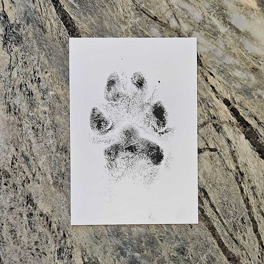 Ink Nose and Paw Prints